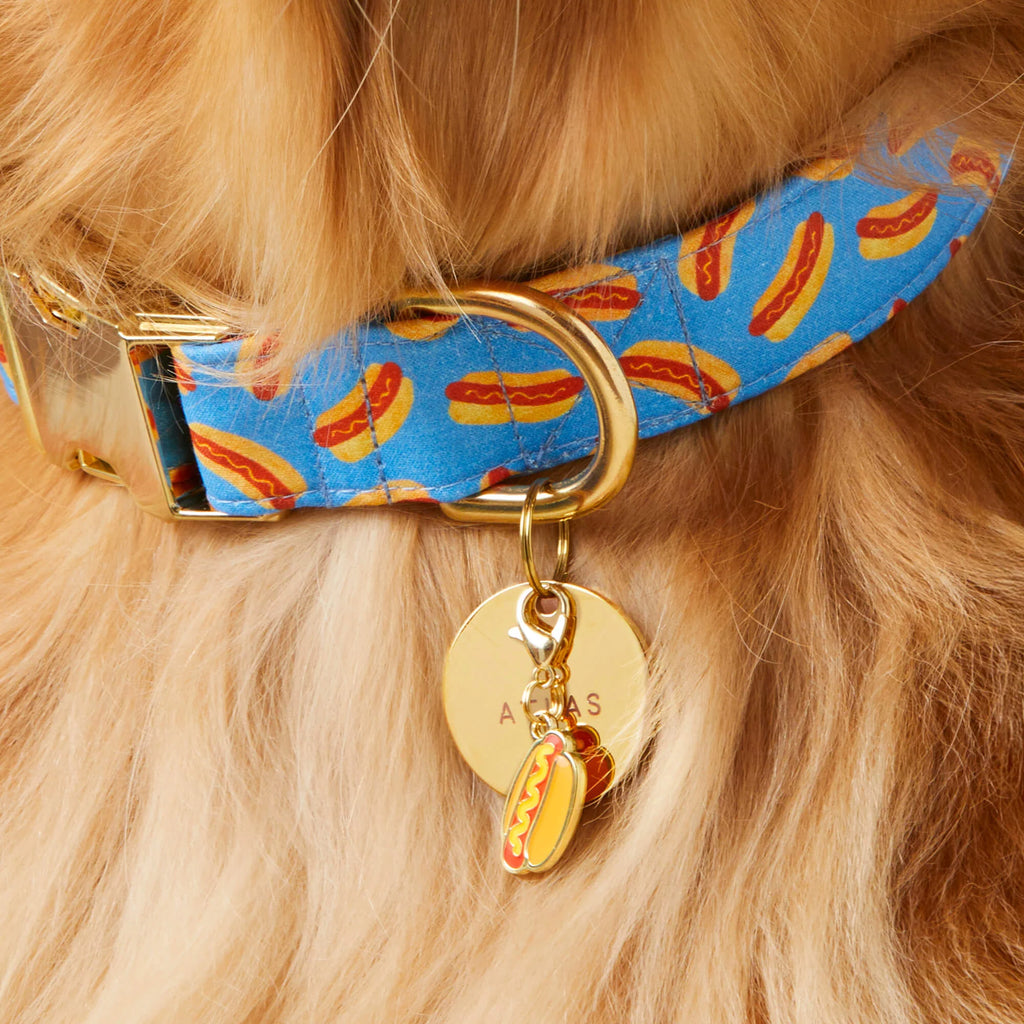 Hot Diggity Dog Collar