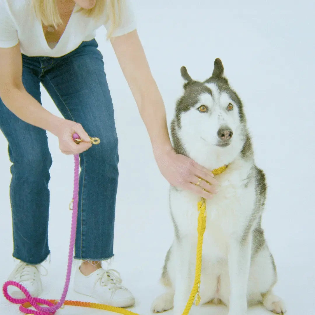 Beau Hands-Free Rope Dog Leash