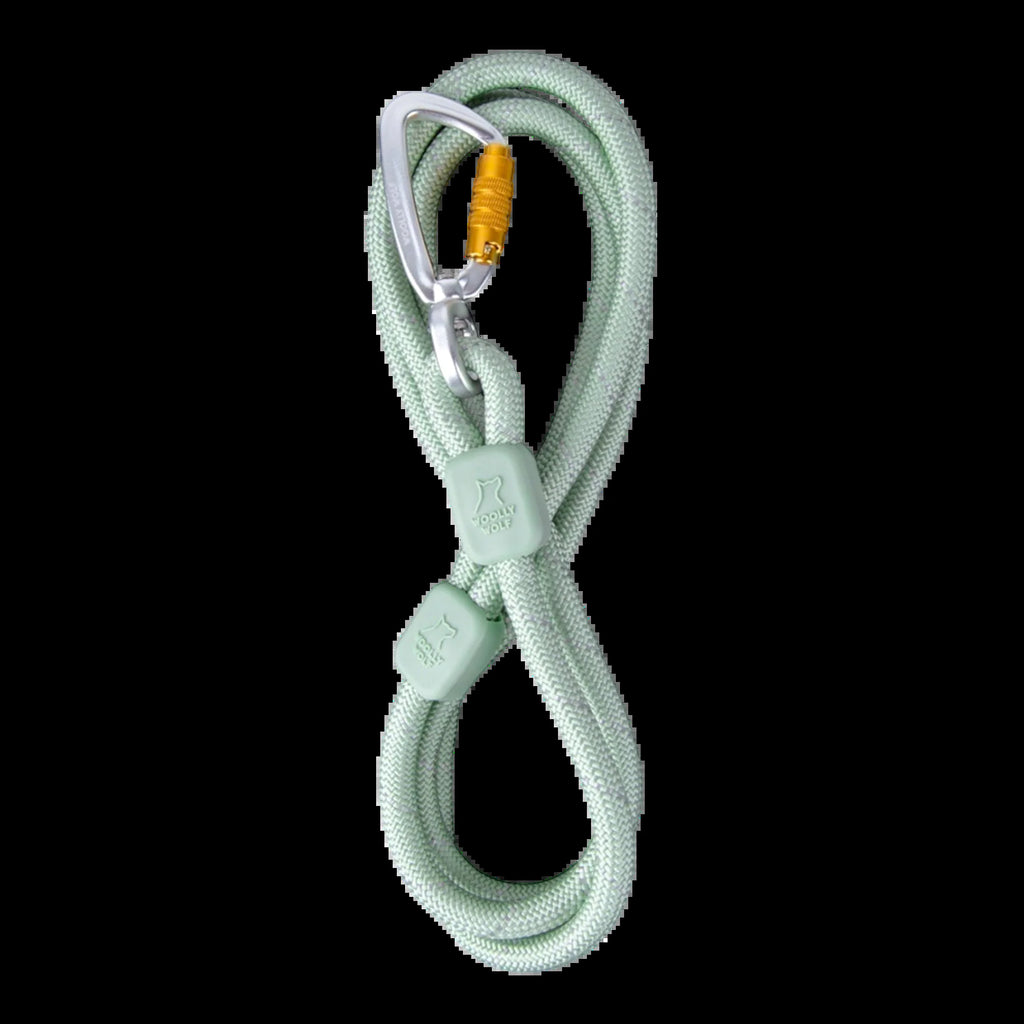 Rope Dog Leash Glacier Green