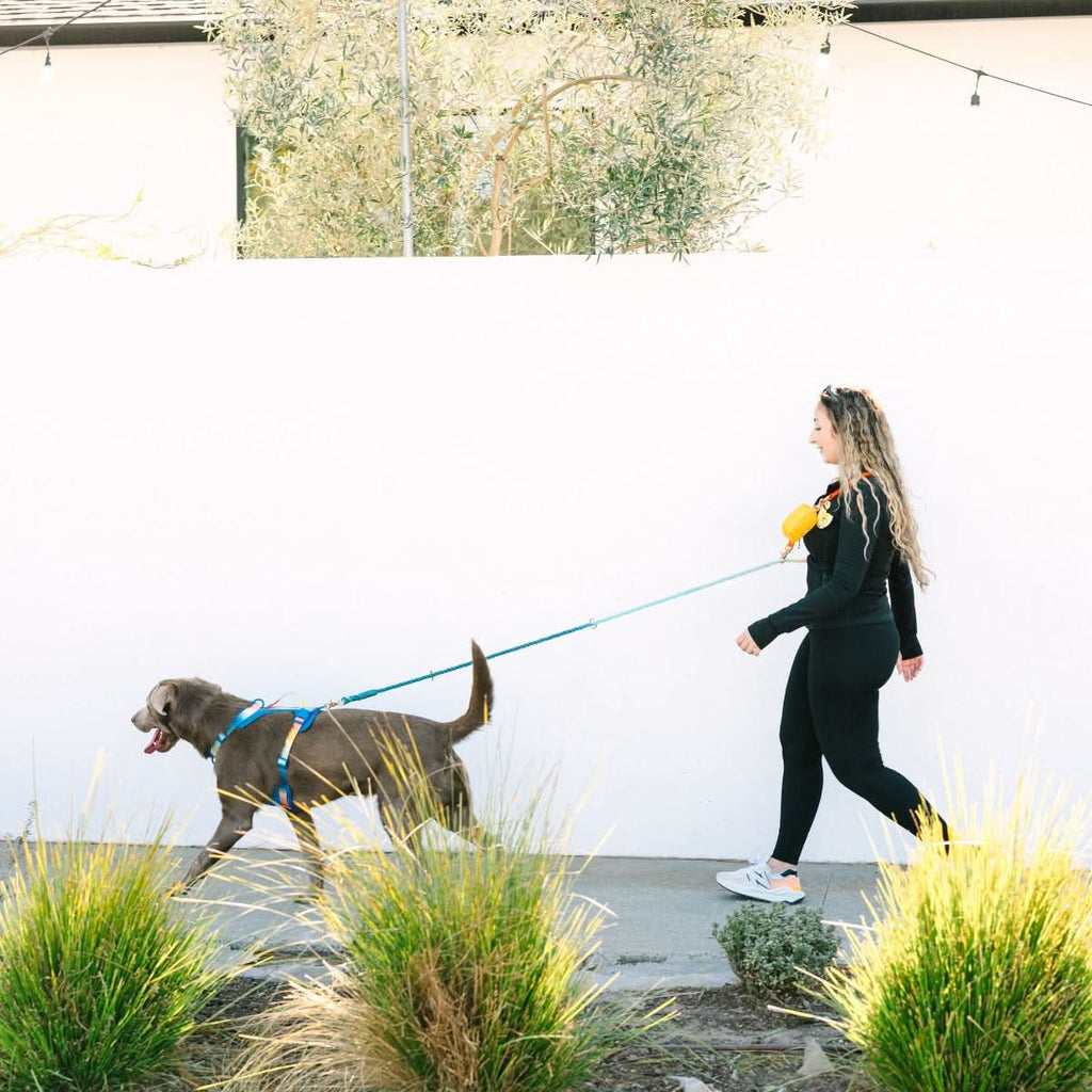 Beau Hands-Free Rope Dog Leash