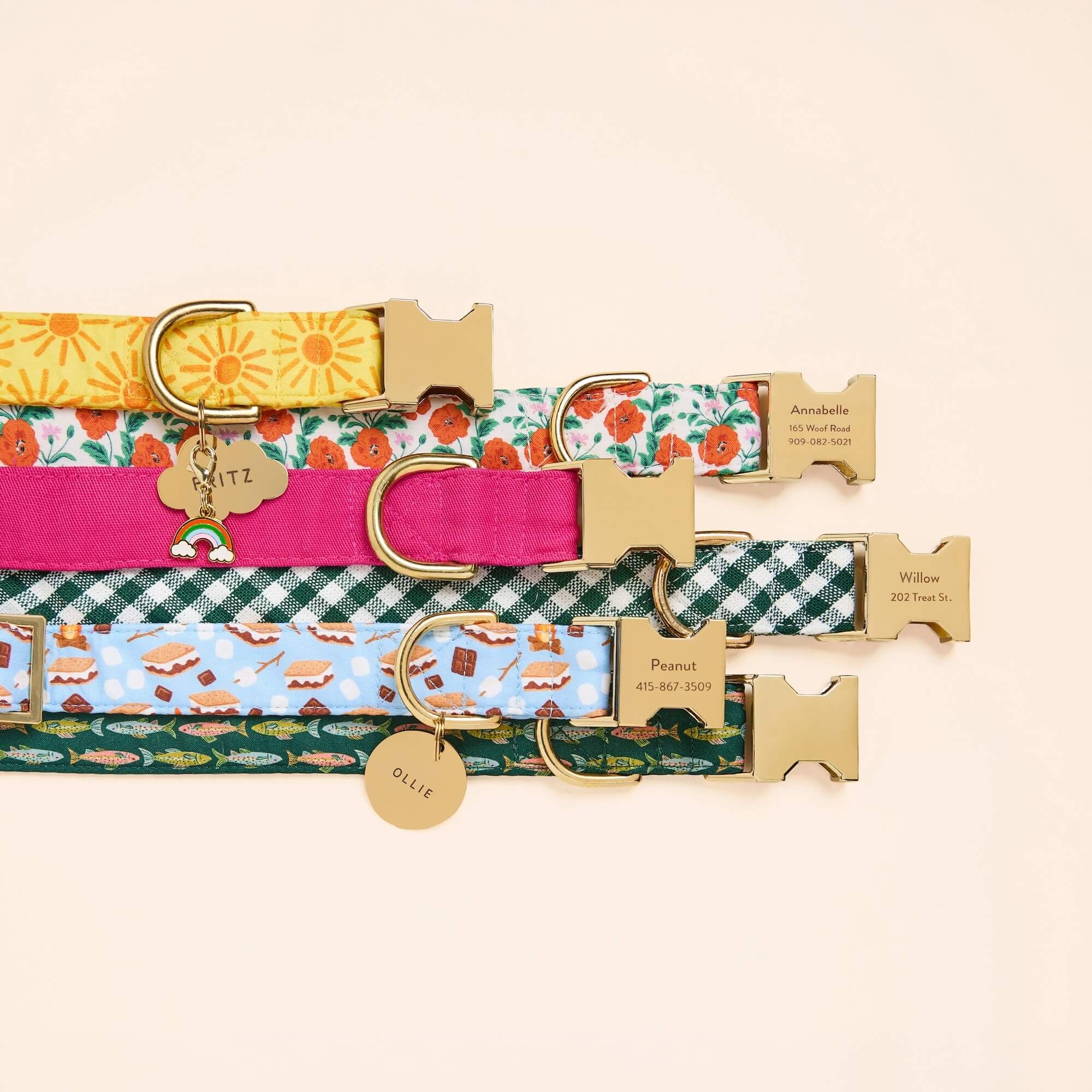 Gone Fishing Dog Collar