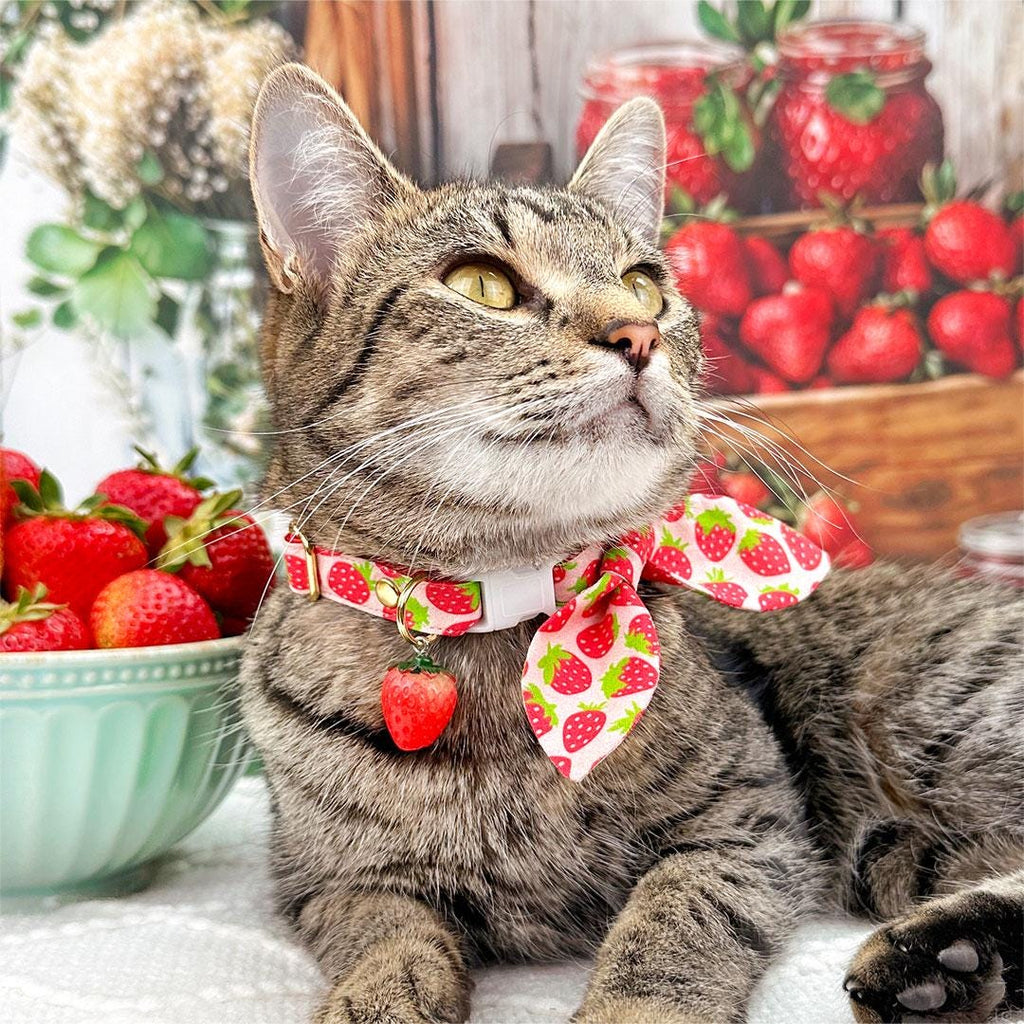 Strawberry Cat Collar + Flower Set - "Strawberry Patch" - Berry Fruit Cat Collar W/ Scarlet Red Felt Flower (Detachable) / Cat, Kitten + Small Dog Sizes