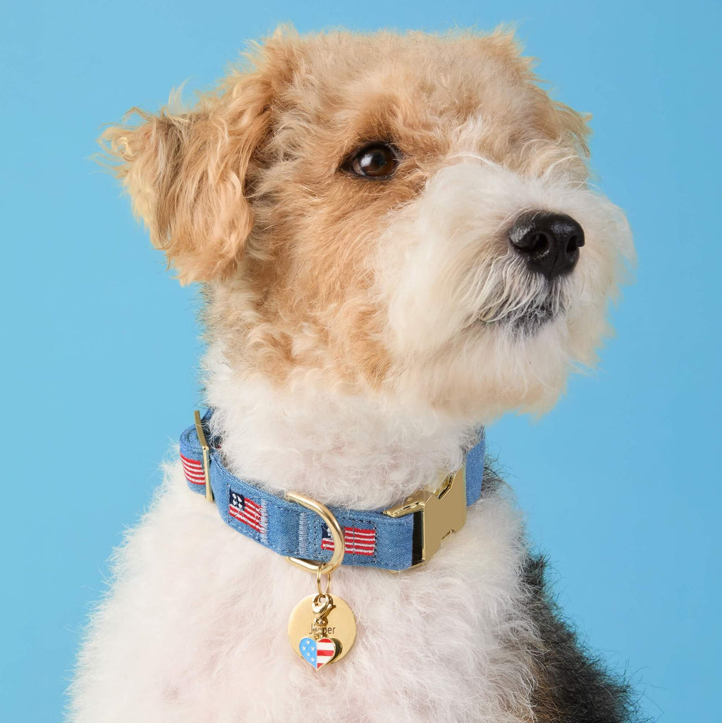 American Flag Embroidered Dog Collar