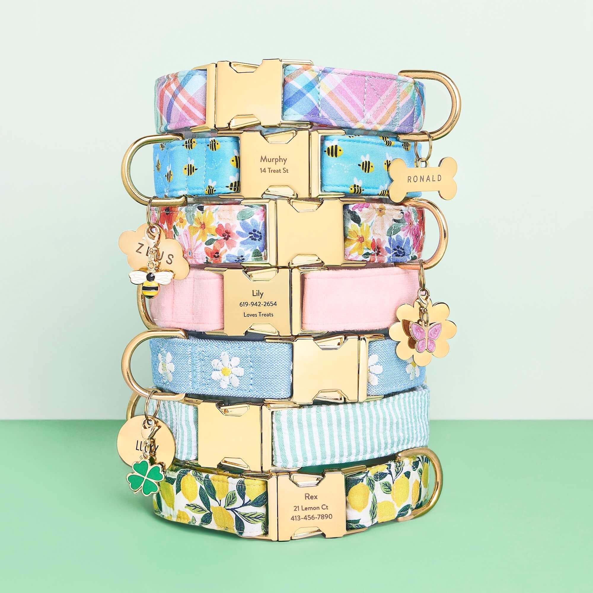 Daisy Embroidered Dog Collar