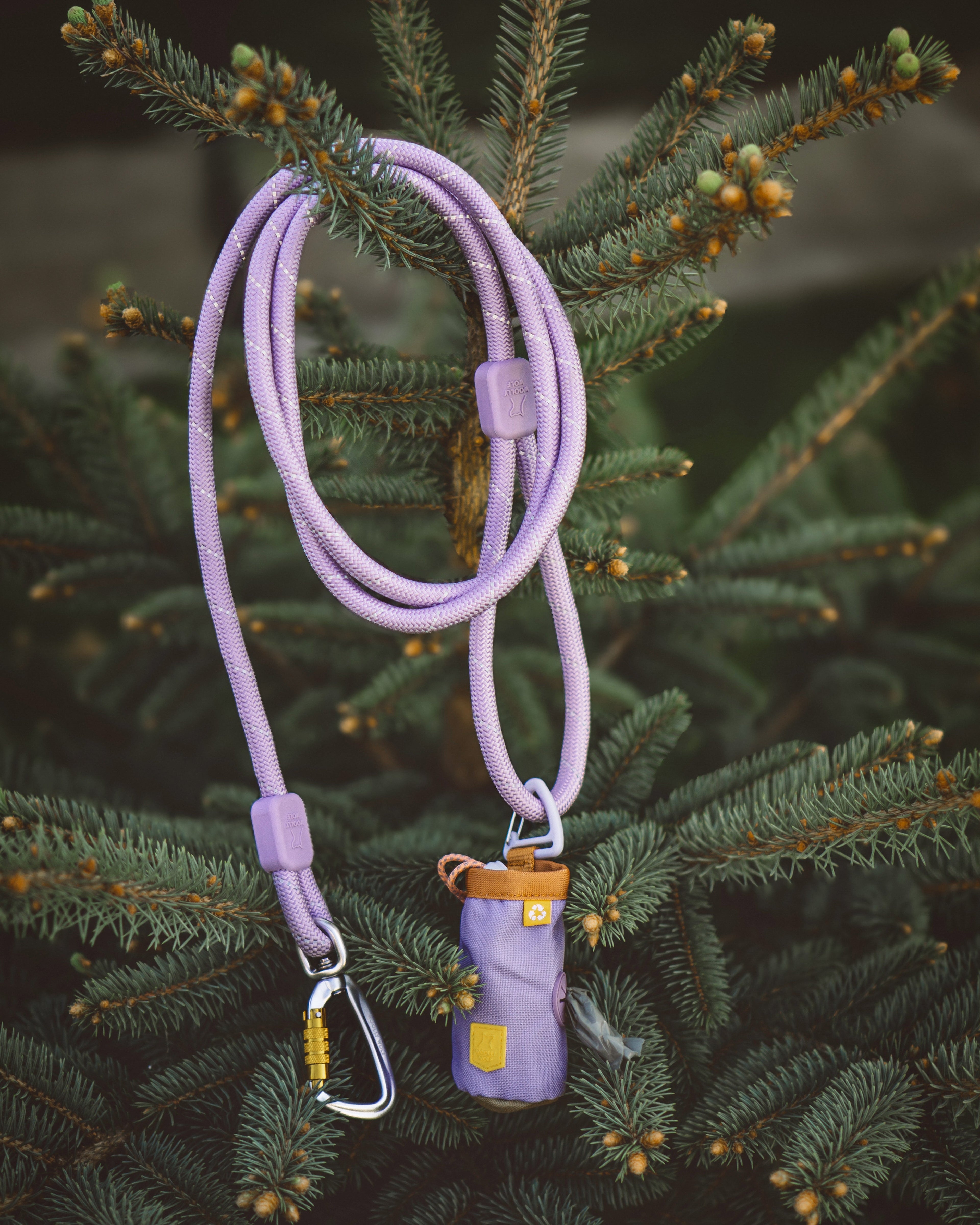 Rope Dog Leash Lavender