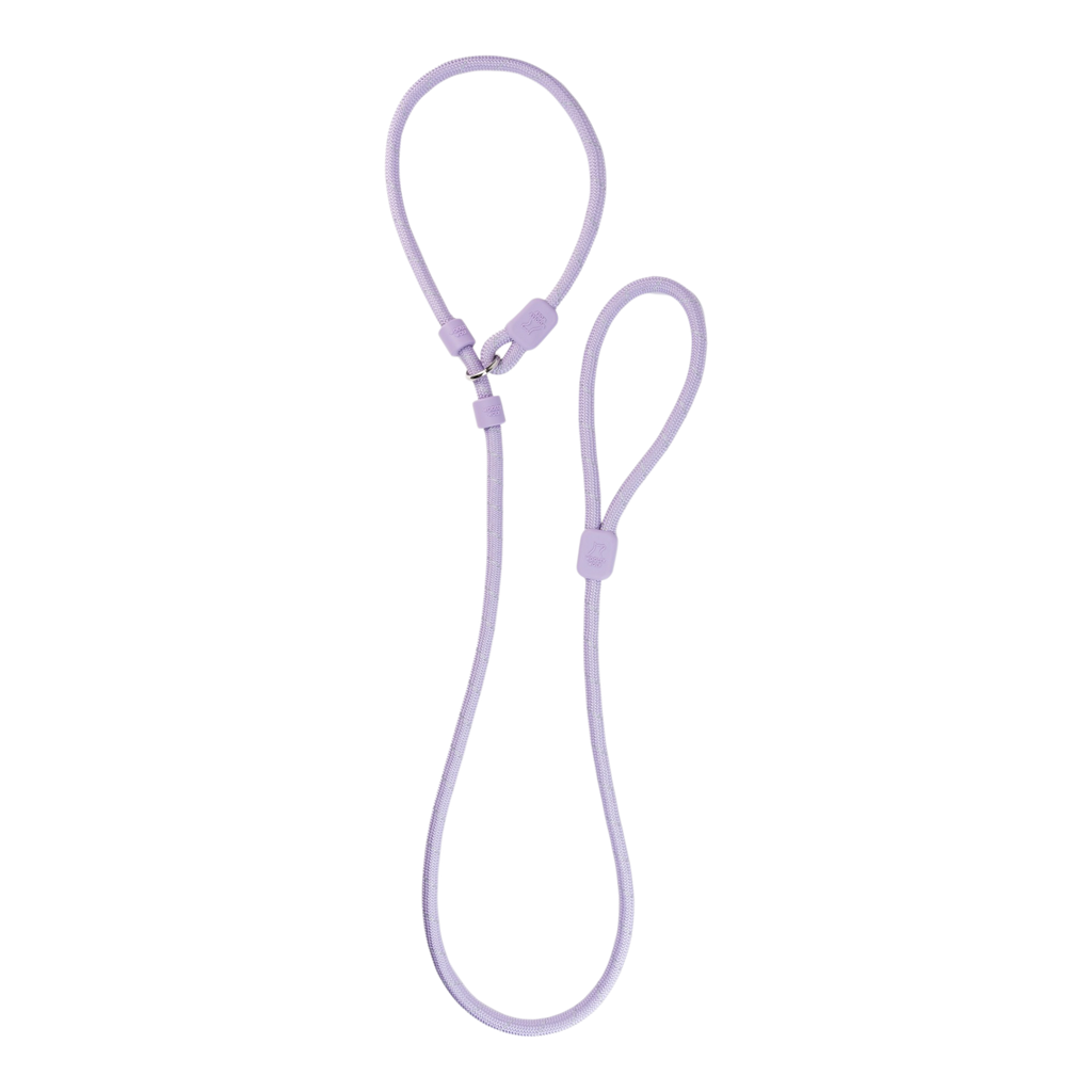 Retriever Leash Lavender