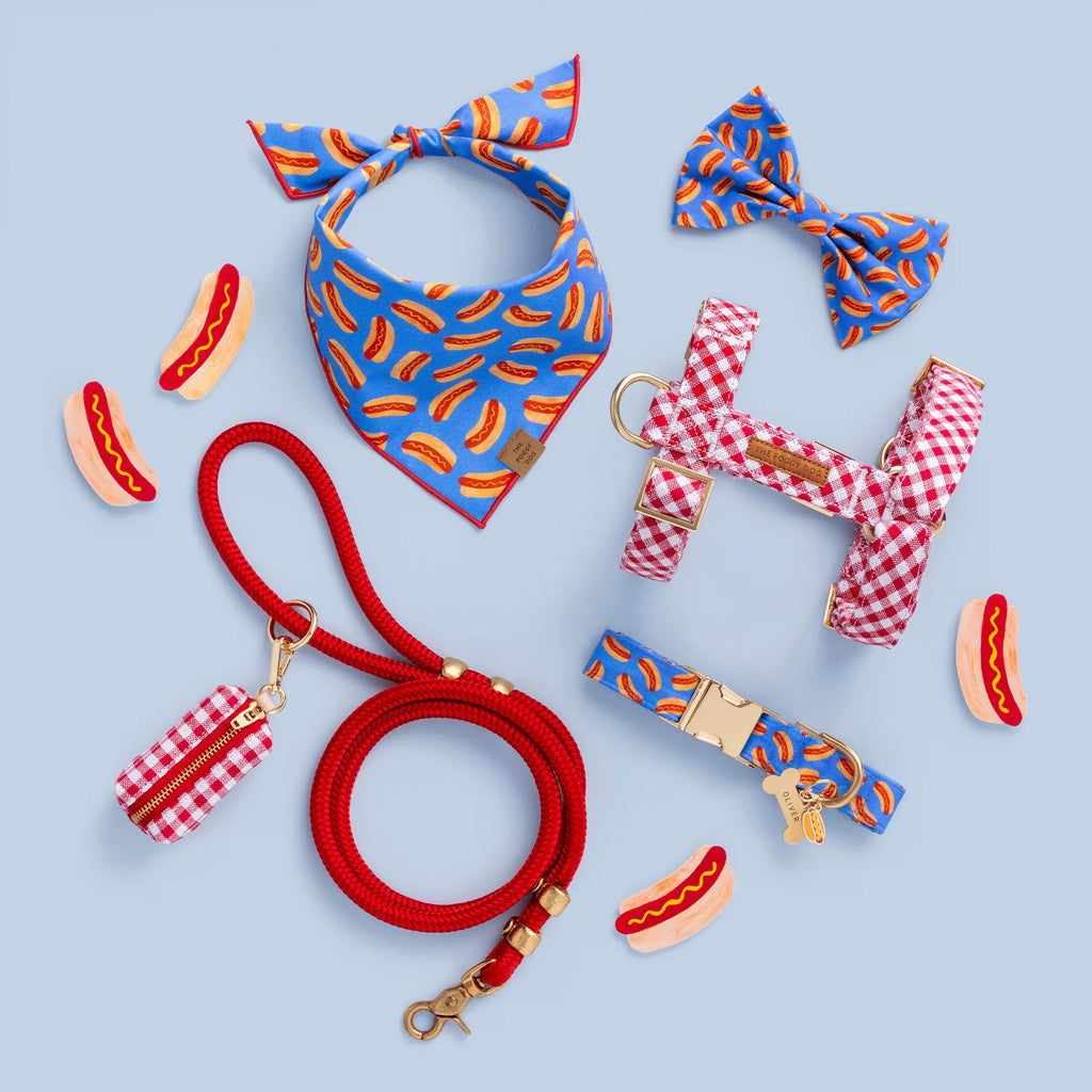 Hot Diggity Dog Collar