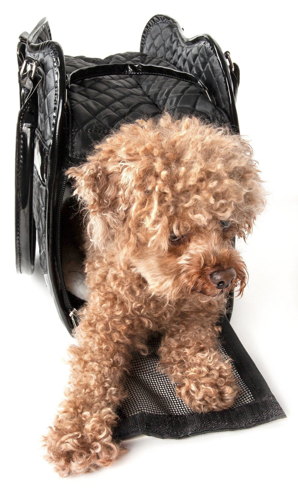 ® Exquisite Airline Approved Designer Travel Pet Dog Handbag Carrier